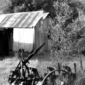 Click for Ancona history